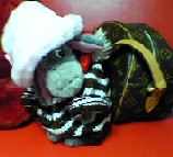 030102_OSHOUGATUNOODEKAKE