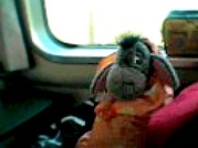 RYOKOU_OSAKA_DENNSHA_EEYORE02-03-18_07-06