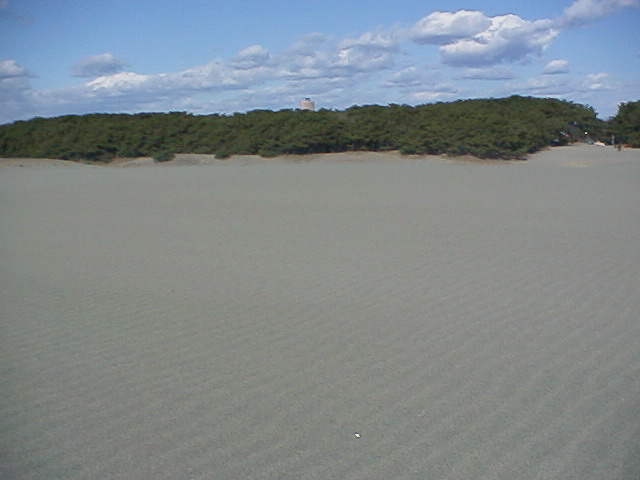 中田島砂丘よりアクトタワーを望む