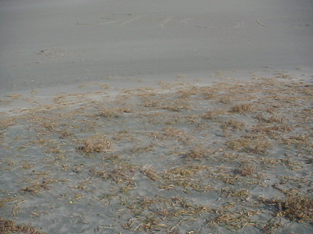 �������ɂr�g�n�f�n�ƁE�E