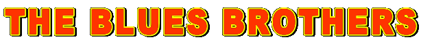 THE BLUES BROTHERS
