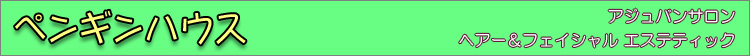 ヘルス＆エステティックサロン　ペンギンハウス